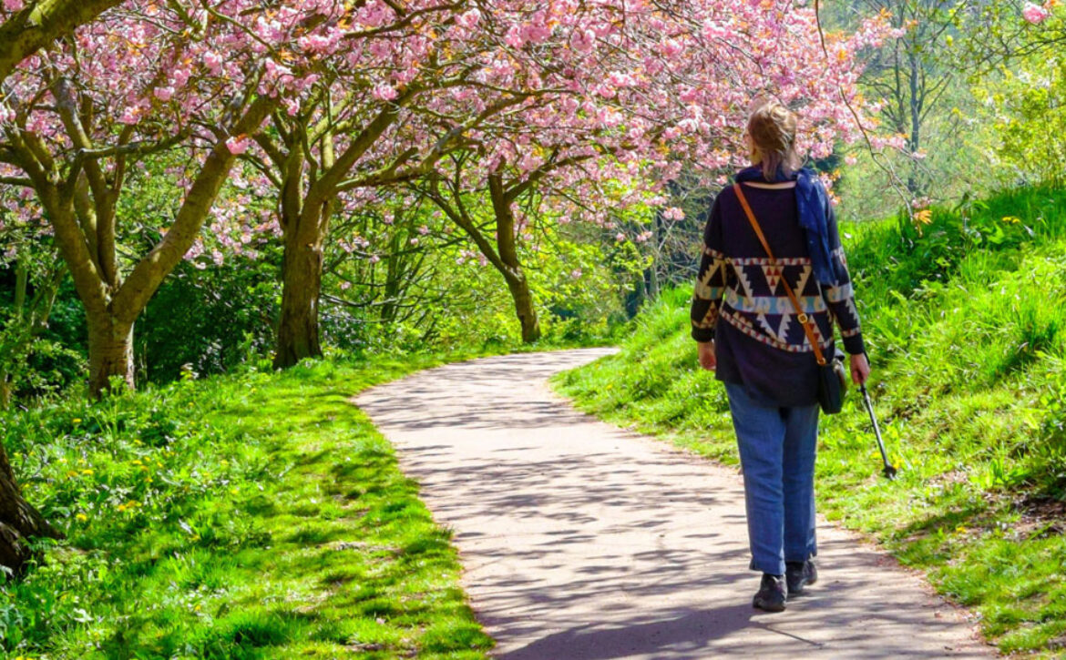 sheffield1000-featured-blog-CPRE