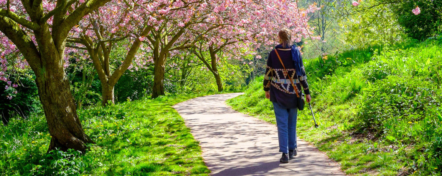 sheffield1000-featured-blog-CPRE